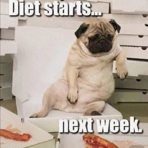 Meet your Posher, Rosemary